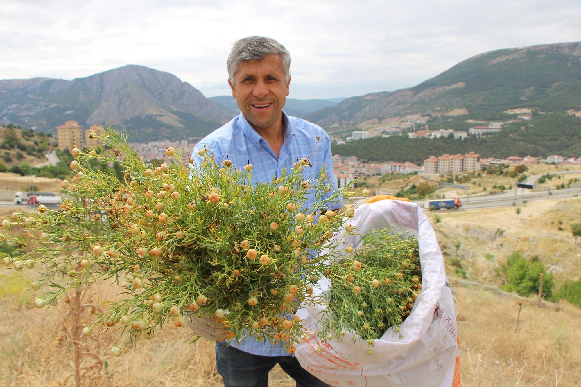 Üzerlik Otu (2)