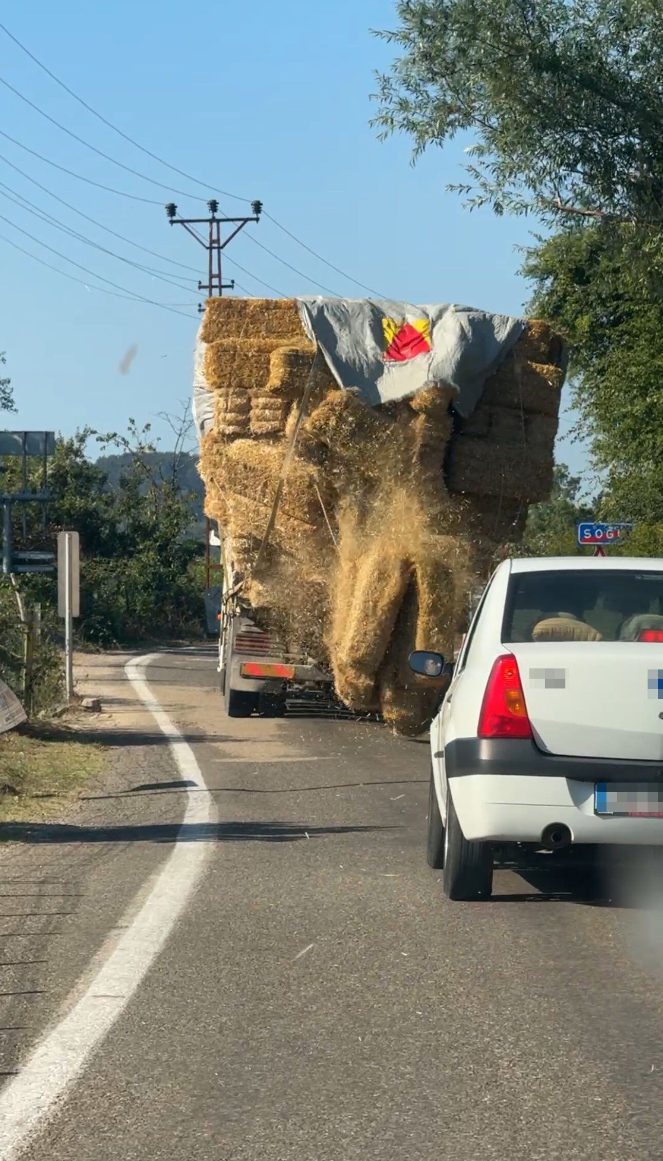 Yenice (1)
