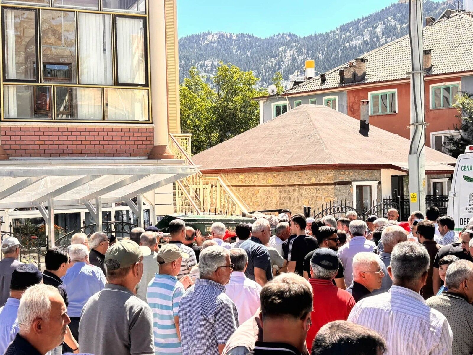 Arı paniği can aldı-1