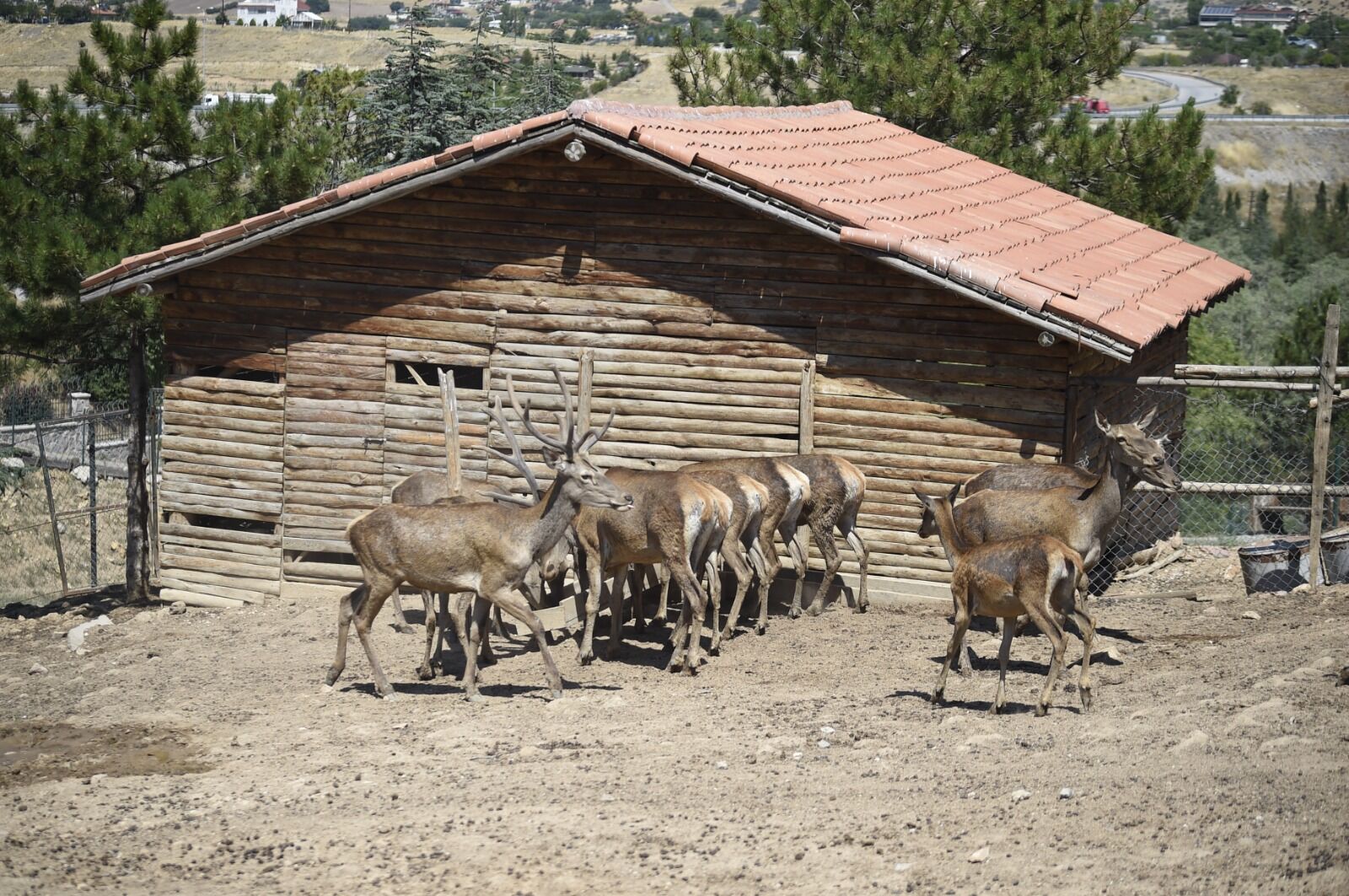 Altındağ