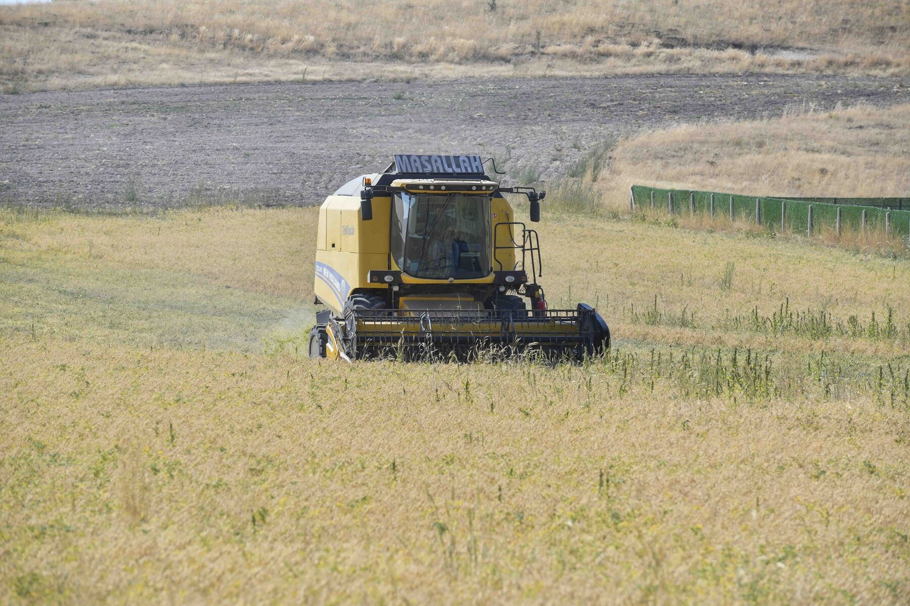 Ankara’da Nohut Tohumu Desteğinin Hasadı Başladı (3)