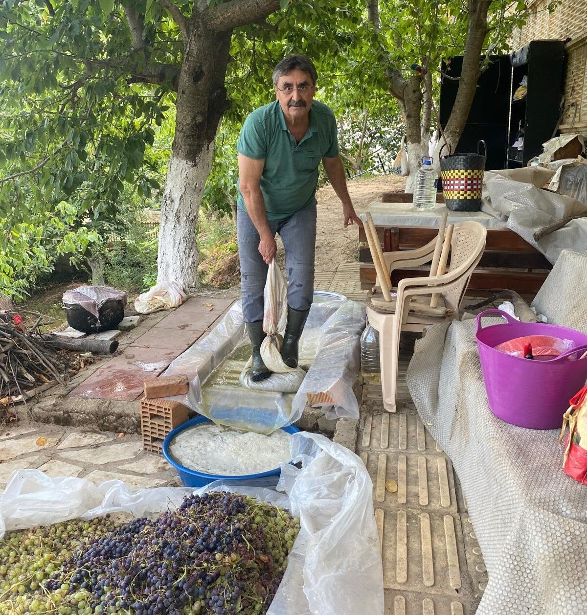 Aydın Pekmez (1)