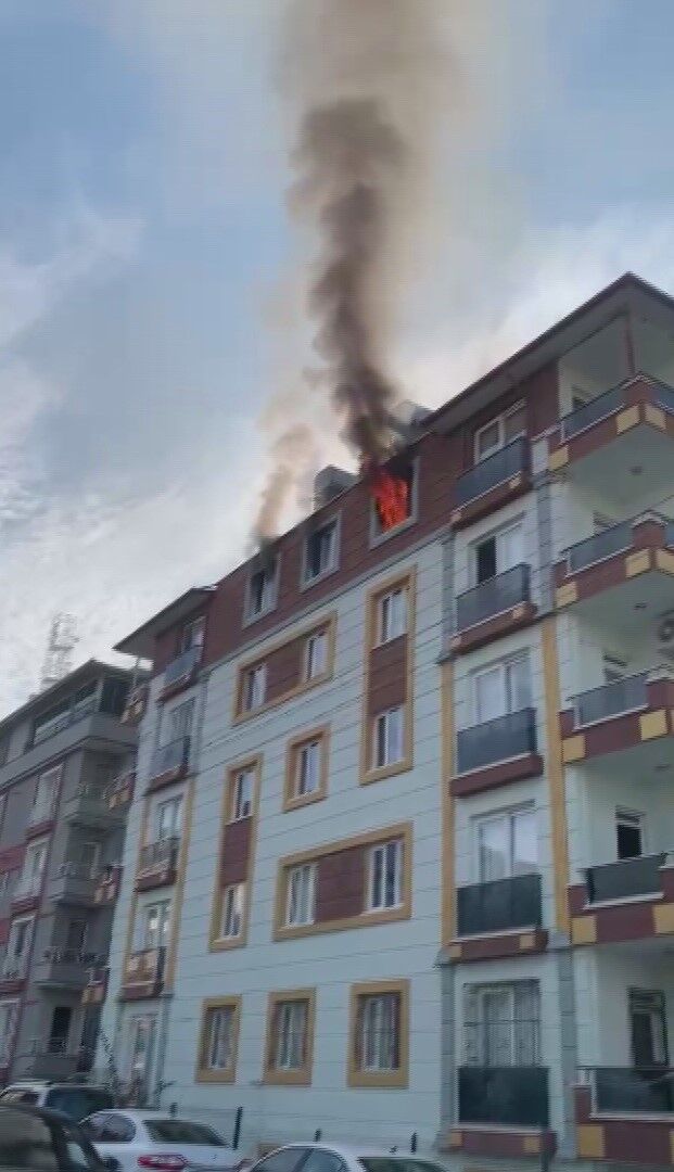 Hatay (73)