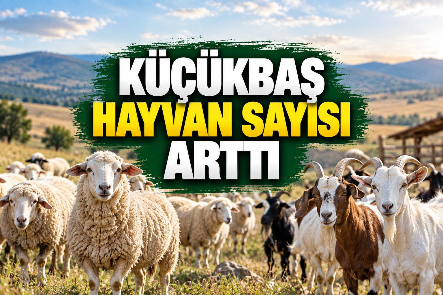 Türkiye'de küçükbaş hayvan sayısı 60,8 milyonu geçti
