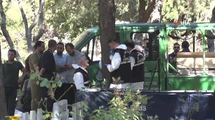Kurtlar Vadisikozinoğlu (1)
