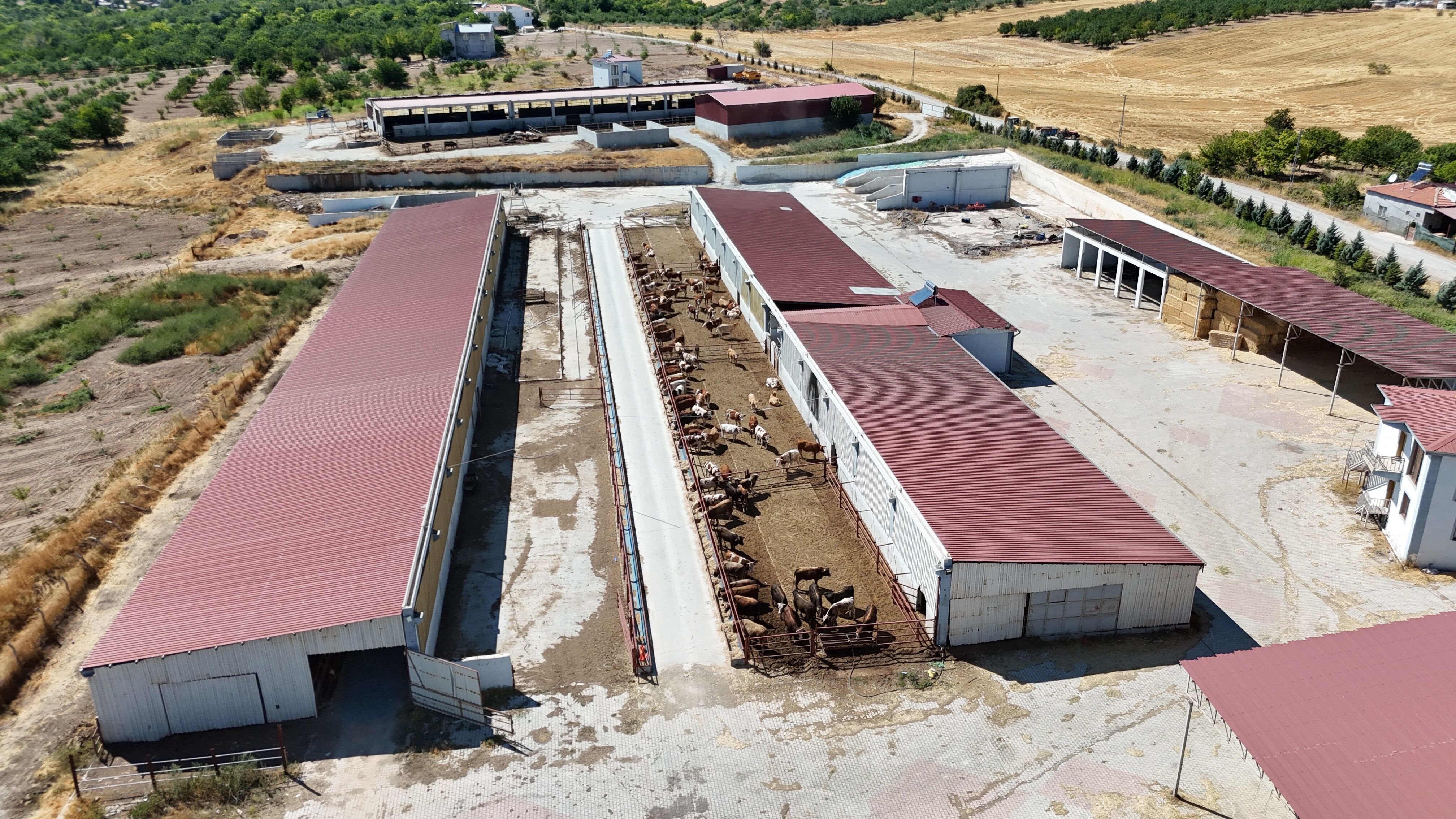 Malatya Ek (2)