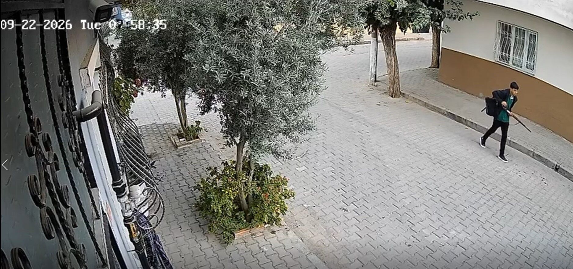 Manisa Okul Saldfırısı (1)