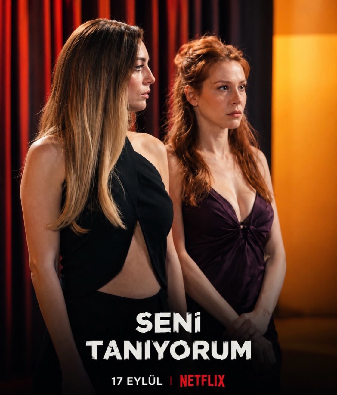 Seni Tanıyorum.jpg3
