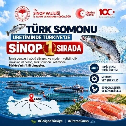 Somon Sinop