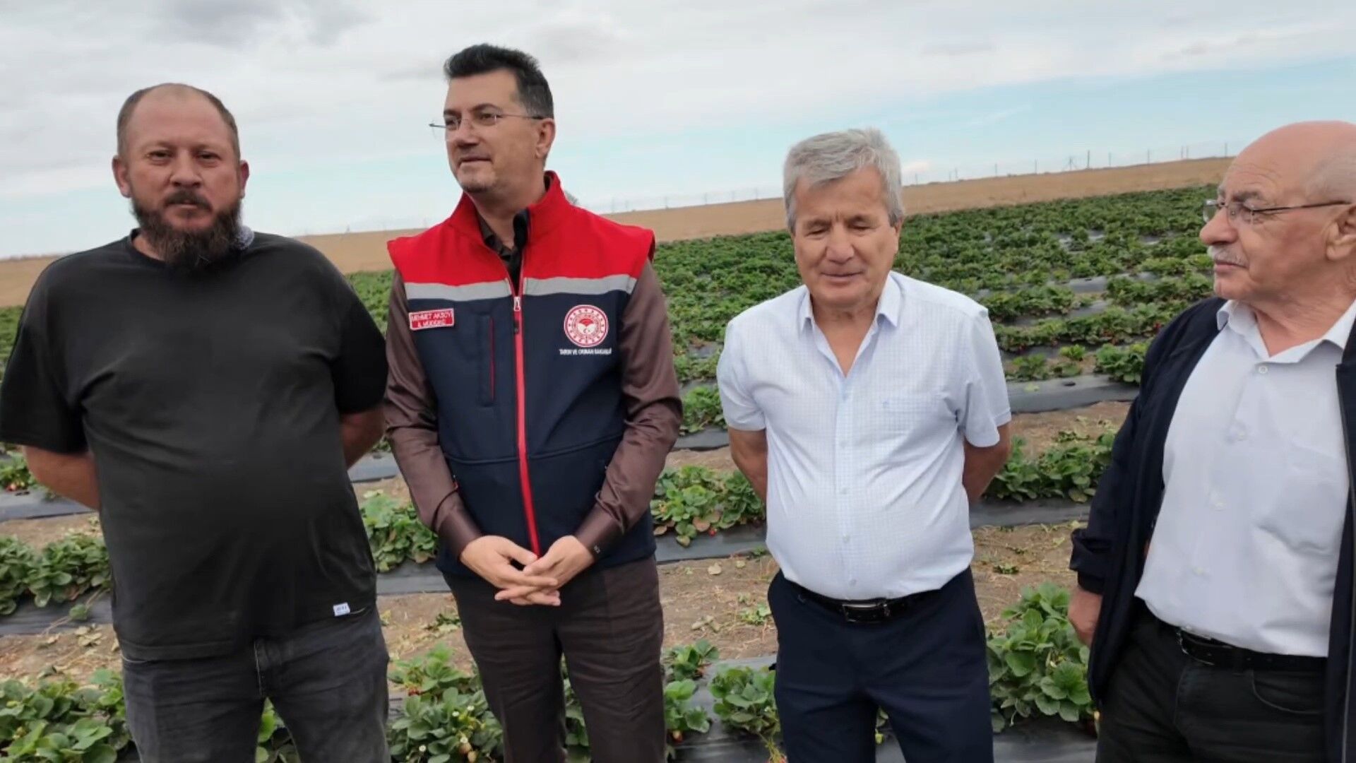 Tekirdağ Çilek (2)