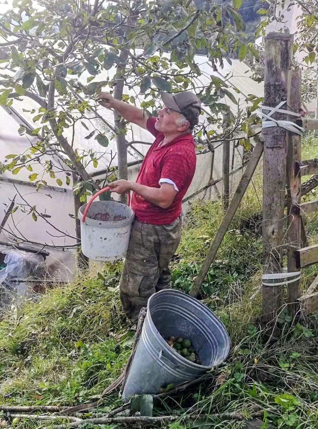 Trabzon’da fındığa alternatif oldu
