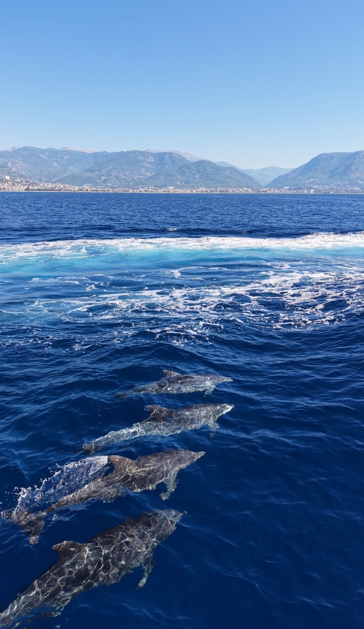 Alanya Yunus (3)