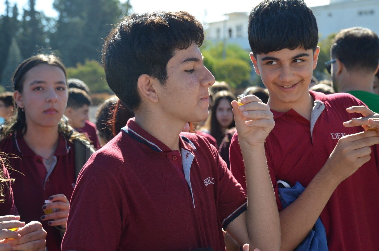 Didim Zeytin Fest (2)