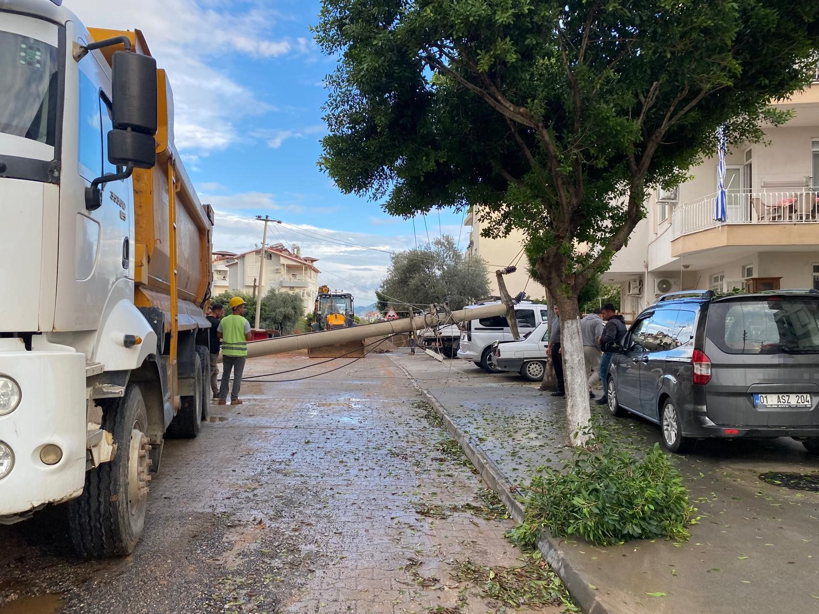 Elektrik Direği (2)