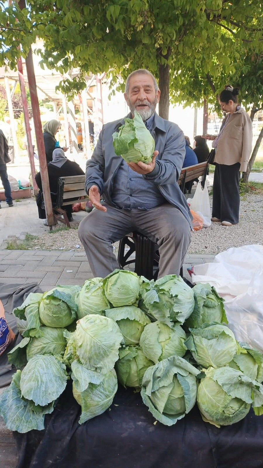 Giresun Lahana (2)