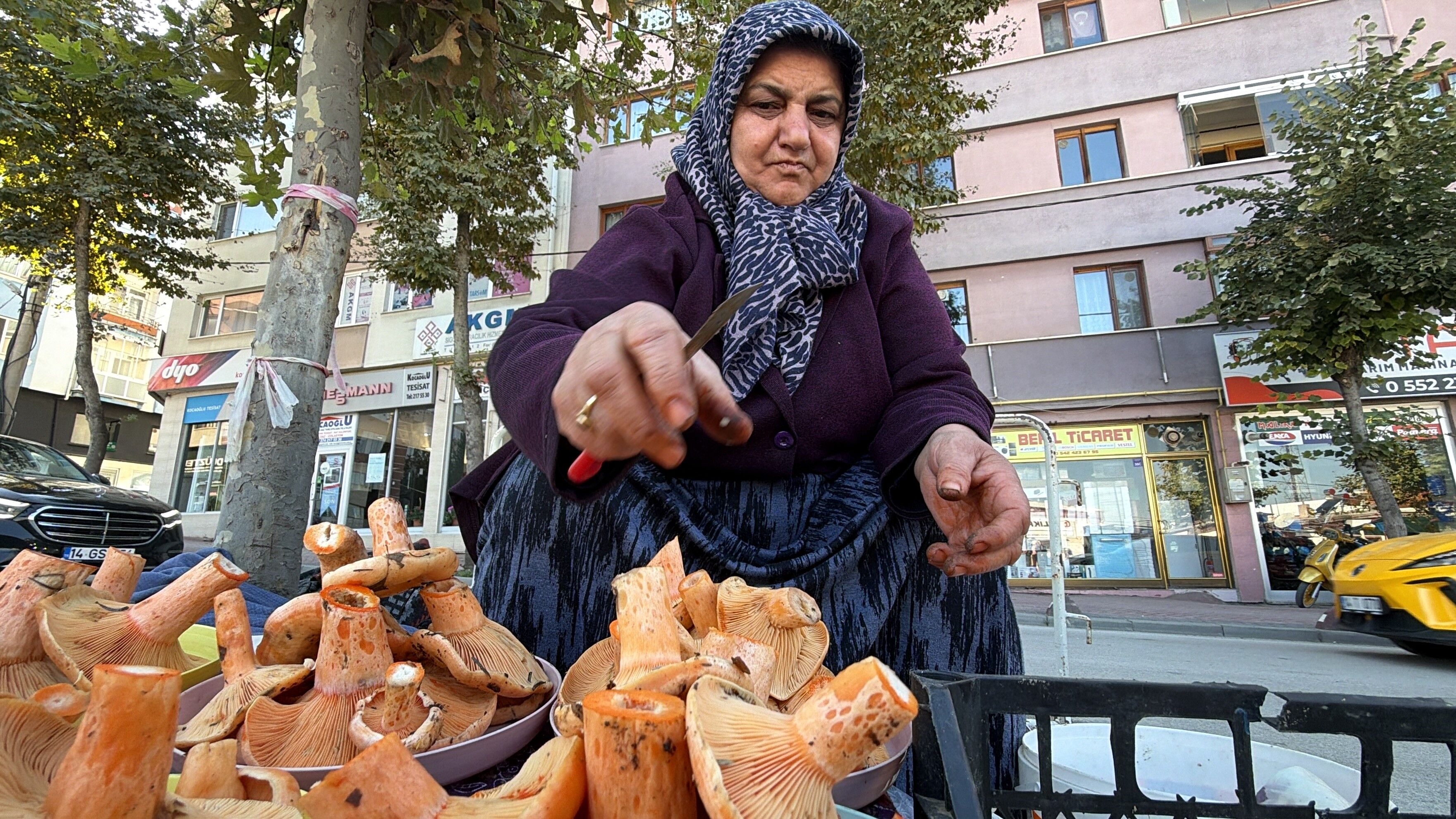 Kanlıca Mantarı (1)