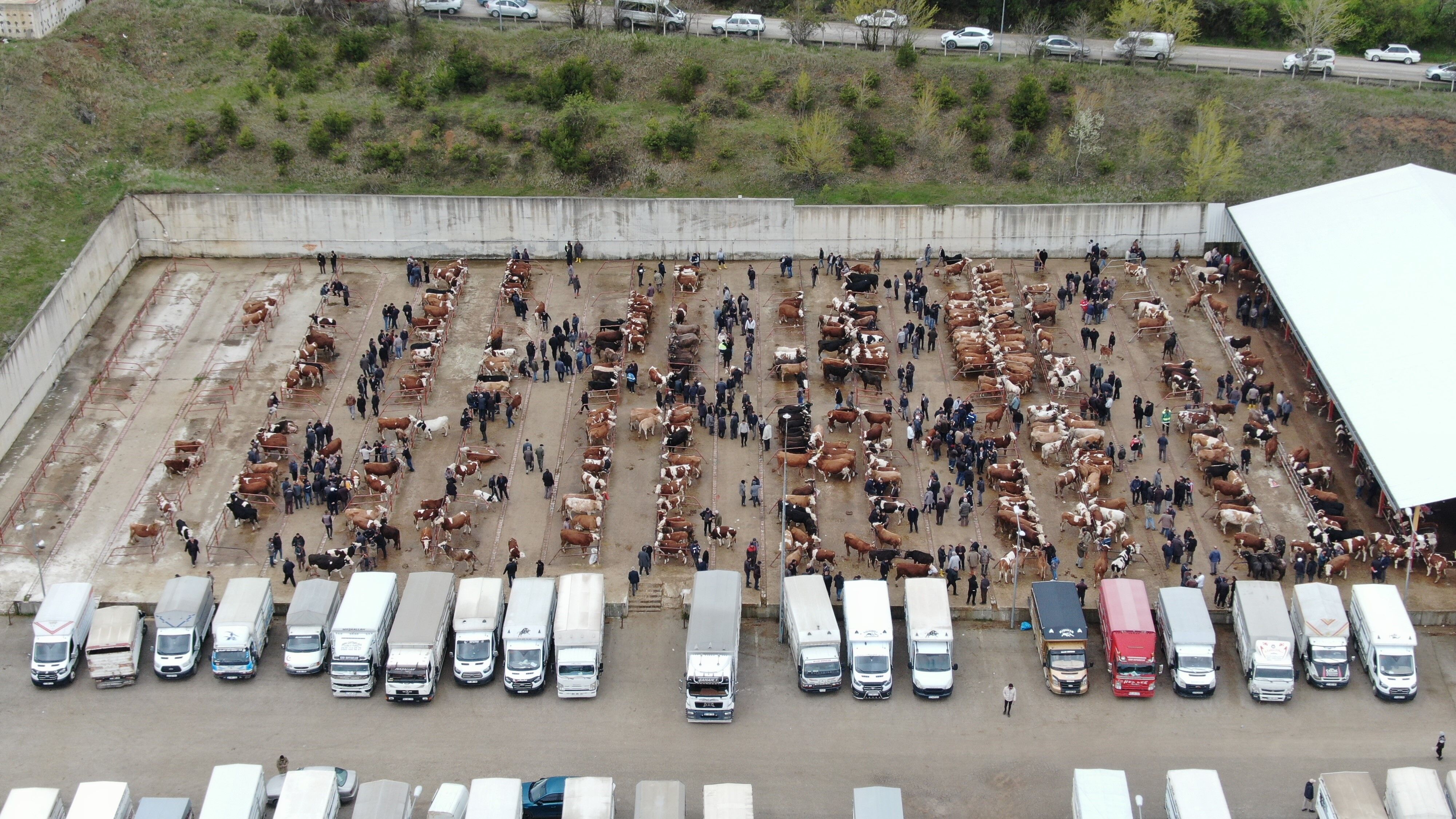 Kastamonu Şap (2)