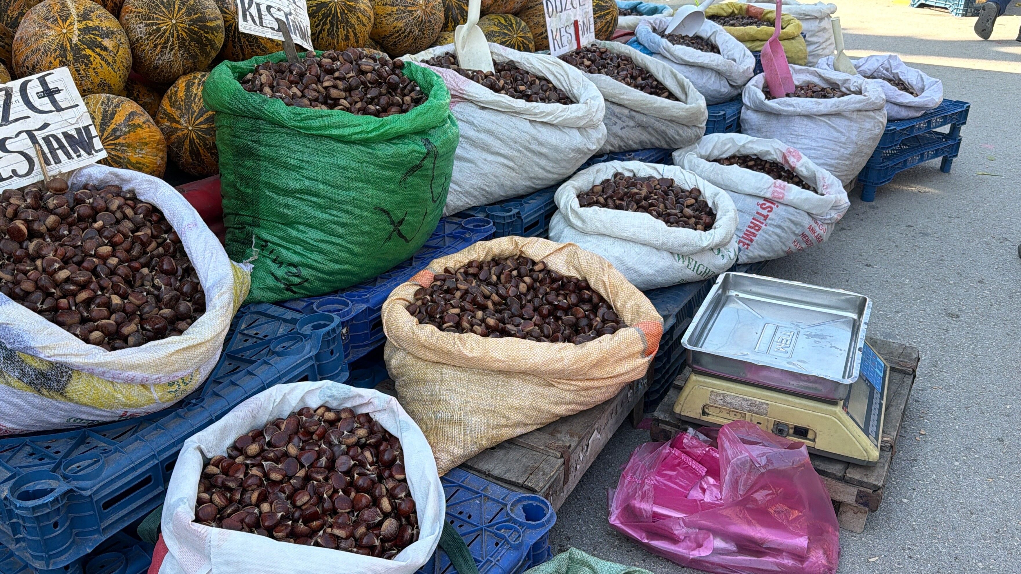 Kestane (2)