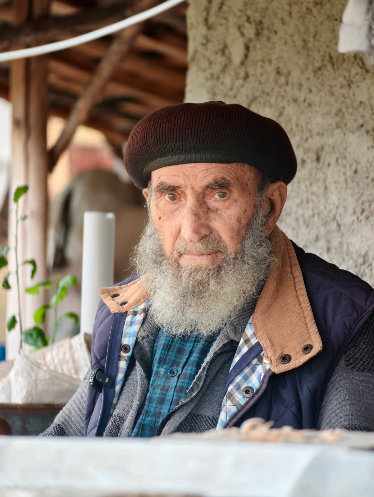 Kızıcahamam (3)