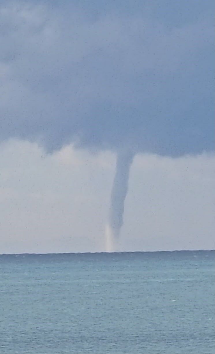 Mersin Hortum (3)