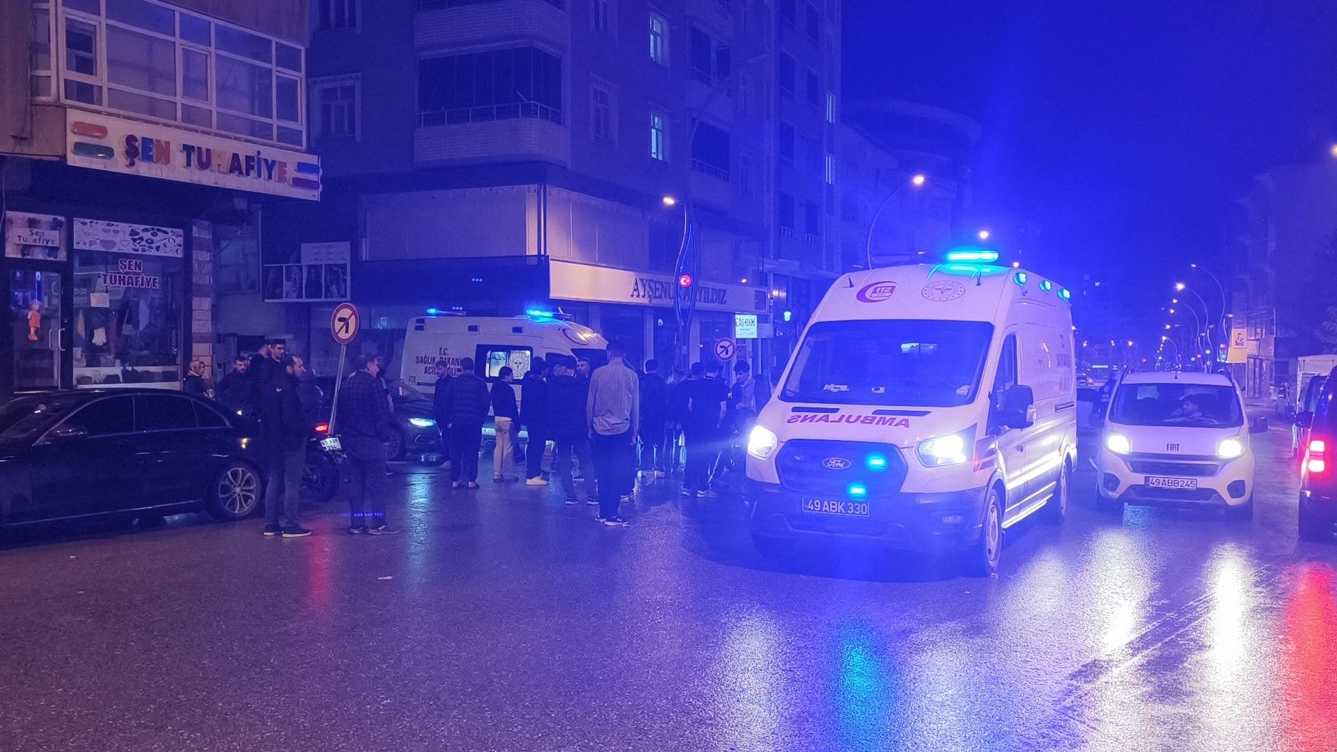 Muşş (1)