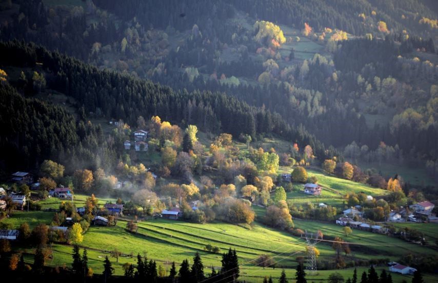 Yaşam-Çevre
