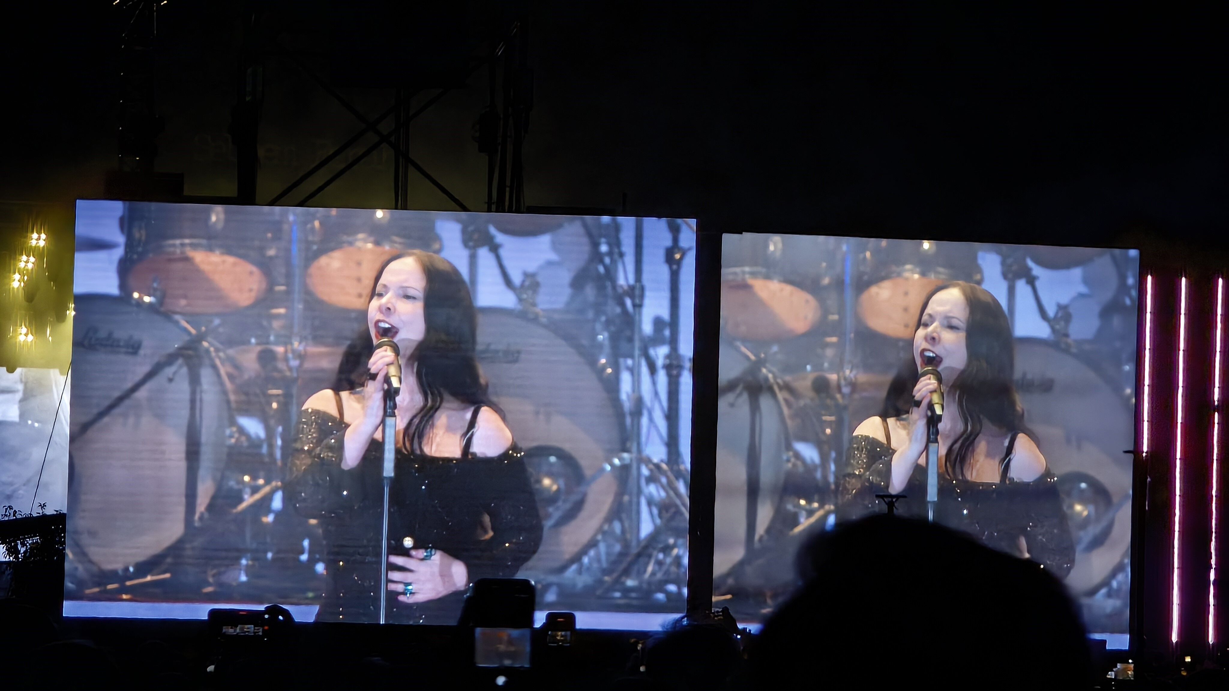 Şebnem Ferah Konser (1)