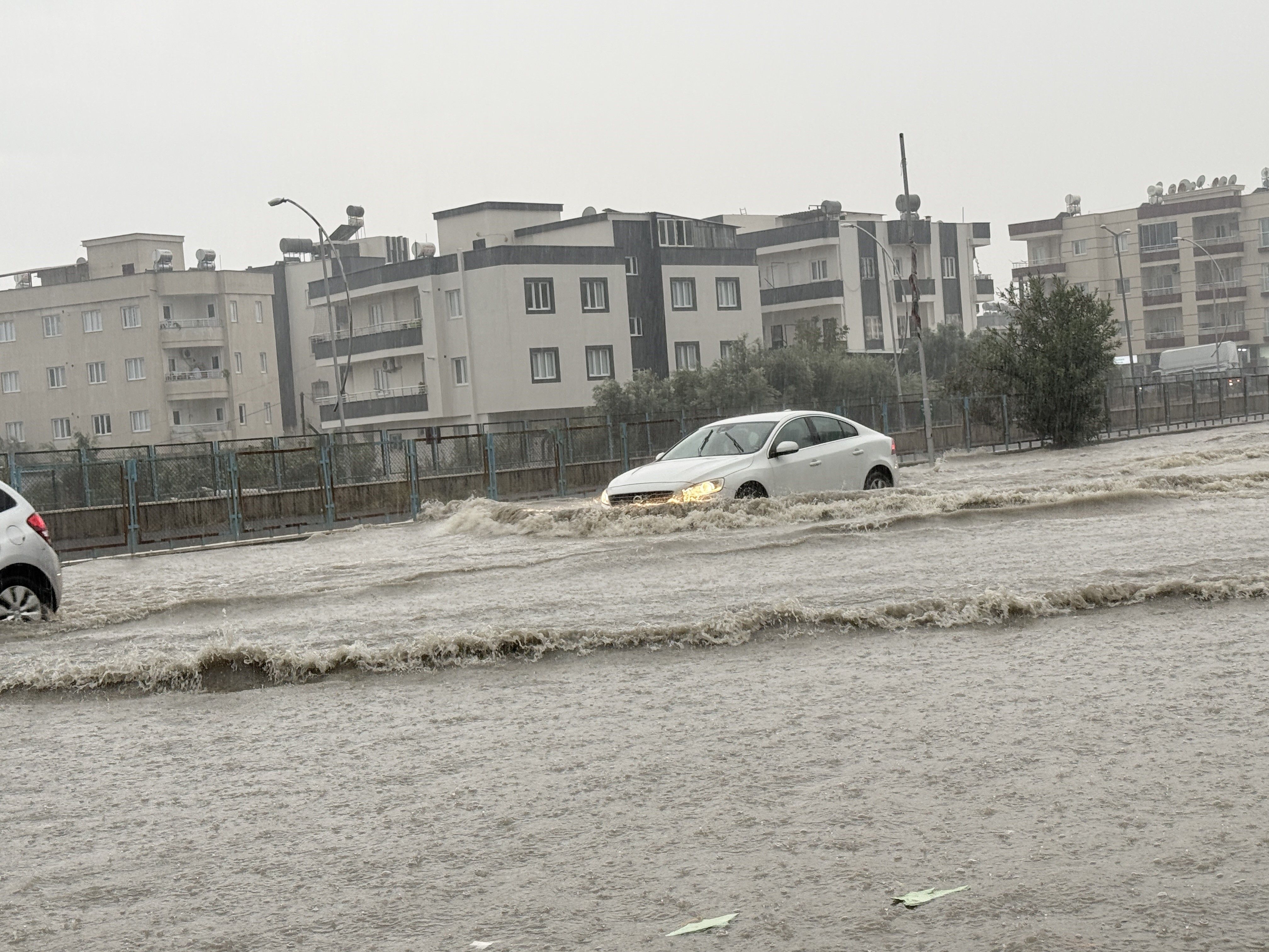 Tarsus (25)